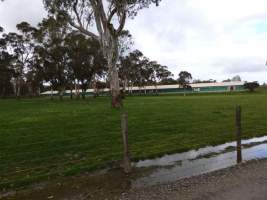 PoultryFarmsAustralia.com.au listing photo - http://www.poultryfarmsaustralia.com.au/property-past-details/sa/echunga/100.html - Captured at Broiler farm, Jupiter Creek SA Australia.