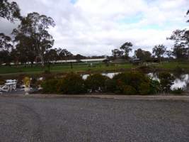 PoultryFarmsAustralia.com.au listing photo - http://www.poultryfarmsaustralia.com.au/property-past-details/sa/echunga/100.html - Captured at Broiler farm, Jupiter Creek SA Australia.