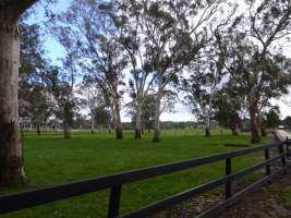 PoultryFarmsAustralia.com.au listing photo - http://www.poultryfarmsaustralia.com.au/property-past-details/sa/echunga/100.html - Captured at Broiler farm, Jupiter Creek SA Australia.