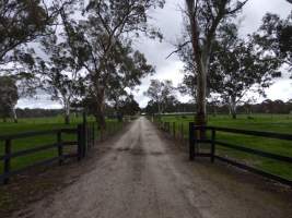 PoultryFarmsAustralia.com.au listing photo - http://www.poultryfarmsaustralia.com.au/property-past-details/sa/echunga/100.html - Captured at Broiler farm, Jupiter Creek SA Australia.