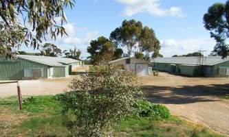 PoultryFarmsAustralia.com.au listing photo - http://www.poultryfarmsaustralia.com.au/property-past-details/sa/roseworthy/45.html - Captured at Broiler farm, Templers SA Australia.