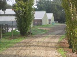 PoultryFarmsAustralia.com.au listing photo - http://www.poultryfarmsaustralia.com.au/property-past-details/vic/bayles/61.html - Captured at Free range broilers, Bayles VIC Australia.