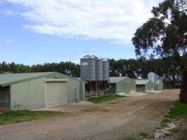 PoultryFarmsAustralia.com.au listing photo - http://www.poultryfarmsaustralia.com.au/property-past-details/vic/boneo/90.html - Captured at Toru Farm, Boneo VIC Australia.