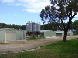 PoultryFarmsAustralia.com.au listing photo - http://www.poultryfarmsaustralia.com.au/property-past-details/vic/boneo/90.html - Captured at Toru Farm, Boneo VIC Australia.