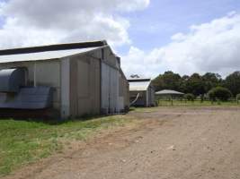 PoultryFarmsAustralia.com.au listing photo - http://www.poultryfarmsaustralia.com.au/property-past-details/vic/boneo/70.html - Captured at Unknown broiler farm, Boneo VIC Australia.