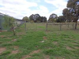 PoultryFarmsAustralia.com.au listing photo - http://www.poultryfarmsaustralia.com.au/property-past-details/vic/cora-lynn/109.html - Captured at Free range broilers, Bayles VIC Australia.