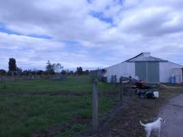 PoultryFarmsAustralia.com.au listing photo - http://www.poultryfarmsaustralia.com.au/property-past-details/vic/cora-lynn/109.html - Captured at Free range broilers, Bayles VIC Australia.