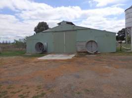 PoultryFarmsAustralia.com.au listing photo - http://www.poultryfarmsaustralia.com.au/property-past-details/vic/cora-lynn/109.html - Captured at Free range broilers, Bayles VIC Australia.