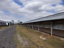 PoultryFarmsAustralia.com.au listing photo - http://www.poultryfarmsaustralia.com.au/property-past-details/vic/cora-lynn/109.html - Captured at Free range broilers, Bayles VIC Australia.