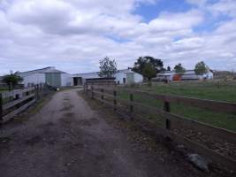 PoultryFarmsAustralia.com.au listing photo - http://www.poultryfarmsaustralia.com.au/property-past-details/vic/cora-lynn/109.html - Captured at Free range broilers, Bayles VIC Australia.