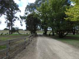 PoultryFarmsAustralia.com.au listing photo - http://www.poultryfarmsaustralia.com.au/property-past-details/vic/cora-lynn/109.html - Captured at Free range broilers, Bayles VIC Australia.