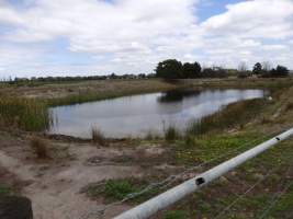 PoultryFarmsAustralia.com.au listing photo - http://www.poultryfarmsaustralia.com.au/property-past-details/vic/cora-lynn/109.html - Captured at Free range broilers, Bayles VIC Australia.