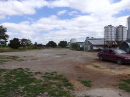 PoultryFarmsAustralia.com.au listing photo - http://www.poultryfarmsaustralia.com.au/property-past-details/vic/cora-lynn/109.html - Captured at Free range broilers, Bayles VIC Australia.