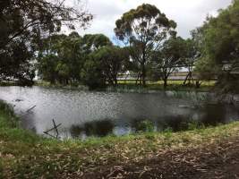 PoultryFarmsAustralia.com.au listing photo - http://www.poultryfarmsaustralia.com.au/property-past-details/vic/cora-lynn/120.html - Captured at Broiler farm, Cora Lynn VIC Australia.