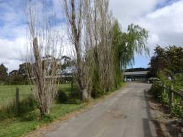 PoultryFarmsAustralia.com.au listing photo - http://www.poultryfarmsaustralia.com.au/property-past-details/vic/devon-meadows/104.html - Captured at Veritas Vincit, Devon Meadows VIC Australia.