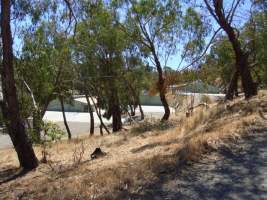 PoultryFarmsAustralia.com.au listing photo - http://www.poultryfarmsaustralia.com.au/property-past-details/vic/kangaroo-ground/76.html - Captured at Broiler farm, Kangaroo Ground VIC Australia.