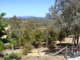 PoultryFarmsAustralia.com.au listing photo - http://www.poultryfarmsaustralia.com.au/property-past-details/vic/kangaroo-ground/76.html - Captured at Broiler farm, Kangaroo Ground VIC Australia.