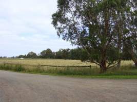 PoultryFarmsAustralia.com.au listing photo - http://www.poultryfarmsaustralia.com.au/property-past-details/vic/kooweerup/86.html - Captured at Broiler farm, Koo Wee Rup VIC Australia.