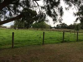 PoultryFarmsAustralia.com.au listing photo - http://www.poultryfarmsaustralia.com.au/property-past-details/vic/kooweerup/86.html - Captured at Broiler farm, Koo Wee Rup VIC Australia.