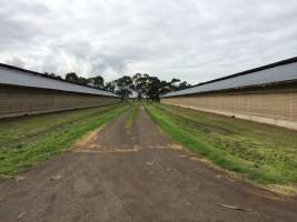 PoultryFarmsAustralia.com.au listing photo - http://www.poultryfarmsaustralia.com.au/property-past-details/vic/kooweerup/86.html - Captured at Broiler farm, Koo Wee Rup VIC Australia.