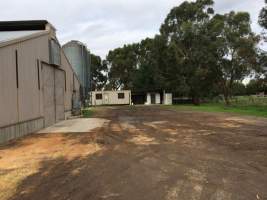 PoultryFarmsAustralia.com.au listing photo - http://www.poultryfarmsaustralia.com.au/property-past-details/vic/kooweerup/86.html - Captured at Broiler farm, Koo Wee Rup VIC Australia.