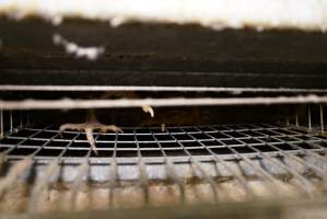 Battery cages - Captured at Daily Fresh Eggs, Lang Lang VIC Australia.