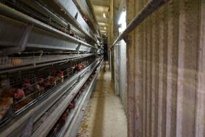 Battery cages - Captured at Daily Fresh Eggs, Lang Lang VIC Australia.