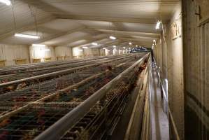 Battery cages - Captured at Daily Fresh Eggs, Lang Lang VIC Australia.