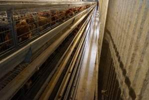 Battery cages - Captured at Daily Fresh Eggs, Lang Lang VIC Australia.