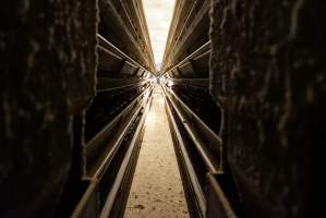 Battery cages - Captured at Daily Fresh Eggs, Lang Lang VIC Australia.