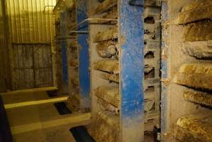 Battery cages - Captured at Daily Fresh Eggs, Lang Lang VIC Australia.