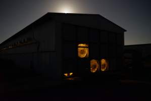 Battery cages - Captured at Daily Fresh Eggs, Lang Lang VIC Australia.