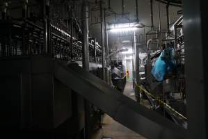 Processing room - Captured at Luv-A-Duck Abattoir, Nhill VIC Australia.