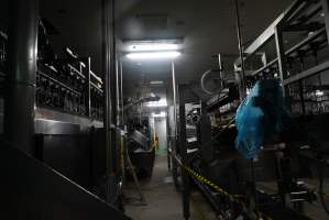 Processing room - Captured at Luv-A-Duck Abattoir, Nhill VIC Australia.