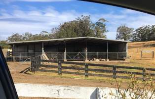 Captured at MB and JG Moore Dairy, Fernbrook NSW Australia.