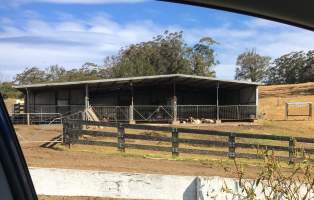 Captured at Dairy farm, Fernbrook NSW Australia.