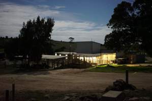Exterior of slaughterhouse, early morning - Captured at Strath Meats, Strathalbyn SA Australia.