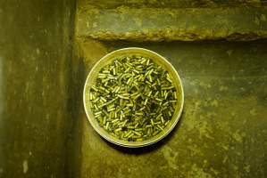 Bucket of bolt gun pellets - Captured at Strath Meats, Strathalbyn SA Australia.