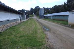 PoultryFarmsAustralia.com.au listing photo - http://www.poultryfarmsaustralia.com.au/property-details/vic/red-hill-south/137.html - Captured at Wyn Glen Pty Ltd, Red Hill South VIC Australia.