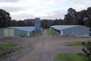 PoultryFarmsAustralia.com.au listing photo - http://www.poultryfarmsaustralia.com.au/property-details/vic/red-hill-south/137.html - Captured at Wyn Glen Pty Ltd, Red Hill South VIC Australia.