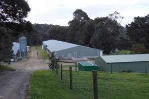 PoultryFarmsAustralia.com.au listing photo - http://www.poultryfarmsaustralia.com.au/property-details/vic/red-hill-south/137.html - Captured at Wyn Glen Pty Ltd, Red Hill South VIC Australia.