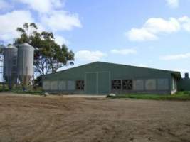 PoultryFarmsAustralia.com.au listing photo - http://www.poultryfarmsaustralia.com.au/property-past-details/vic/lethbridge/23.html - Captured at Unknown free-range egg farm, Lethbridge VIC Australia.