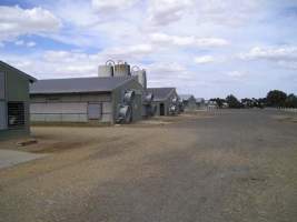 PoultryFarmsAustralia.com.au listing photo - http://www.poultryfarmsaustralia.com.au/property-past-details/vic/lethbridge/33.html - Captured at Lethbridge Duck Farm, Lethbridge VIC Australia.