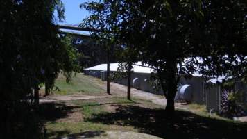 PoultryFarmsAustralia.com.au listing photo - http://www.poultryfarmsaustralia.com.au/property-past-details/vic/main-ridge/95.html - Captured at Troutbeck Rural Industries, Main Ridge VIC Australia.