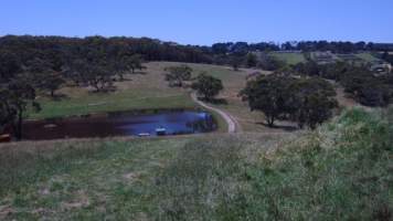 PoultryFarmsAustralia.com.au listing photo - http://www.poultryfarmsaustralia.com.au/property-past-details/vic/main-ridge/95.html - Captured at Troutbeck Rural Industries, Main Ridge VIC Australia.