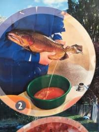 An infographic in the visitor centre, taking his sperm (milt) - Captured at L P Dutton Trout Hatchery, Ebor NSW Australia.