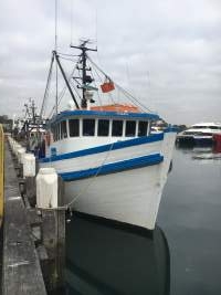 Captured at Sydney Fish Market, Pyrmont NSW Australia.