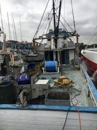 Captured at Sydney Fish Market, Pyrmont NSW Australia.