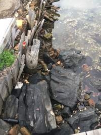 Dirty surroundings - Captured at Sydney Fish Market, Pyrmont NSW Australia.