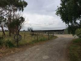 PoultryFarmsAustralia.com.au listing photo - http://www.poultryfarmsaustralia.com.au/property-past-details/vic/modella/83.html - Captured at Unknown broiler farm, Modella VIC Australia.